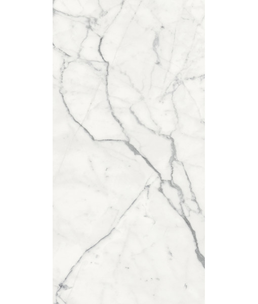 Керамогранит LES ORIGINES DE REX BLANC GLOSSY 60X120