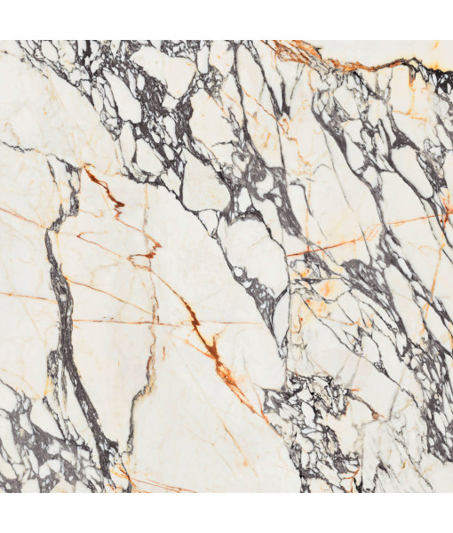 Керамогранит SPR.TREAS.CORCHIA GOLD NAT R 120X120
