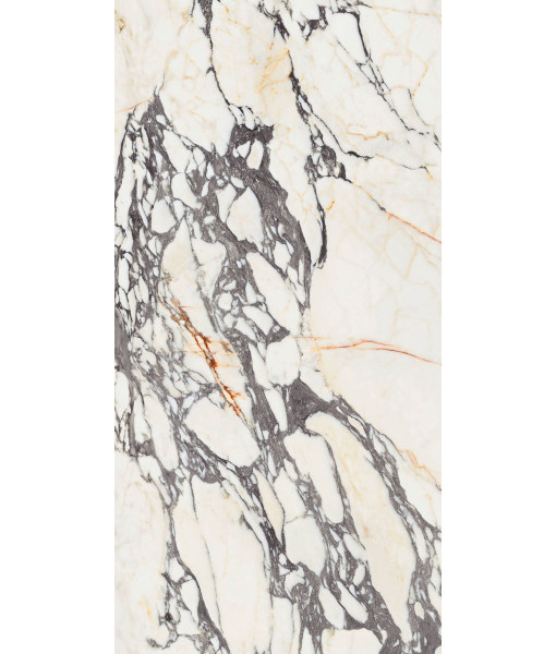Керамогранит  SPR.TREAS.CORCHIA GOLD LUX R 60X120