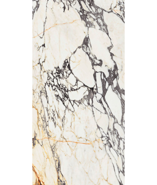 Керамогранит  SPR.TREAS.CORCHIA GOLD LUX R 60X120