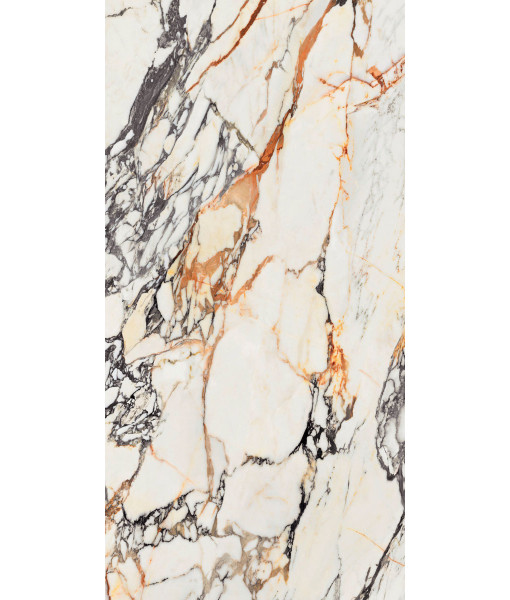 Керамогранит  SPR.TREAS.CORCHIA GOLD LUX R 60X120