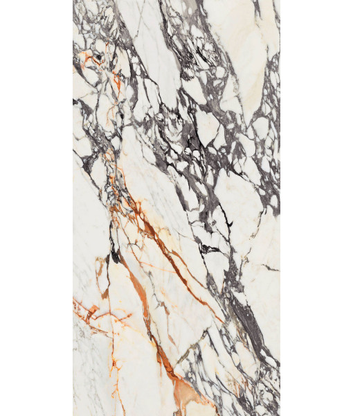 Керамогранит  SPR.TREAS.CORCHIA GOLD LUX R 60X120