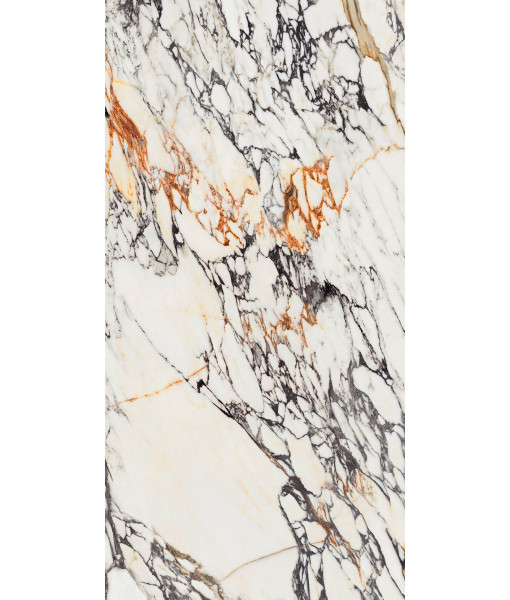 Керамогранит  SPR.TREAS.CORCHIA GOLD LUX R 60X120