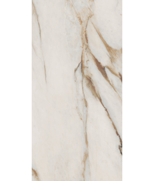 Керамогранит SNS.SIGN.CAL. VENA ORO NAT RET 60X120