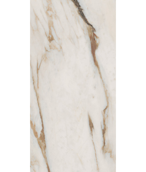 Керамогранит SNS.SIGN.CAL. VENA ORO NAT RET 60X120