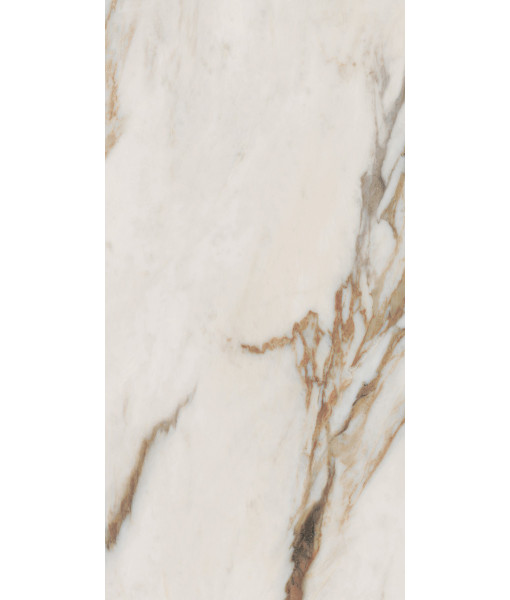 Керамогранит SNS.SIGN.CAL. VENA ORO NAT RET 60X120