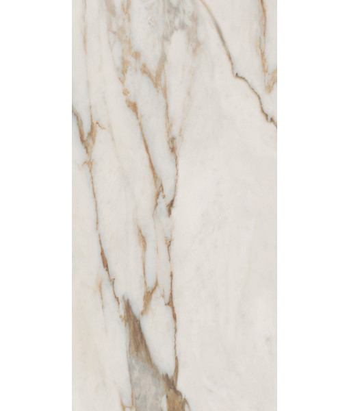 Керамогранит SNS.SIGN.CAL. VENA ORO NAT RET 60X120