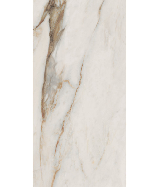 Керамогранит SNS.SIGN.CAL. VENA ORO NAT RET 60X120