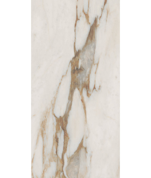 Керамогранит SNS.SIGN.CAL. VENA ORO NAT RET 60X120