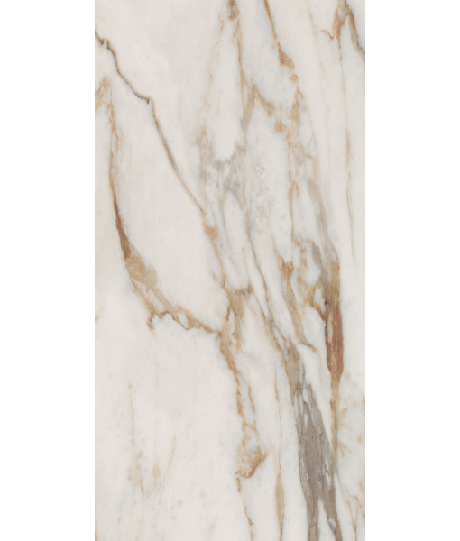 Керамогранит SNS.SIGN.CAL. VENA ORO NAT RET 60X120