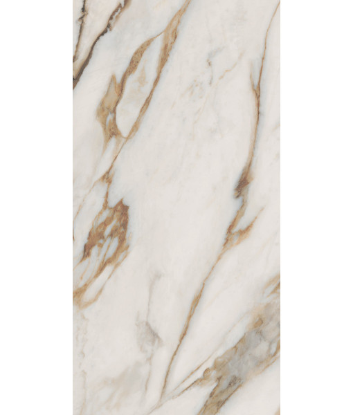 Керамогранит SNS.SIGN.CAL. VENA ORO NAT RET 60X120