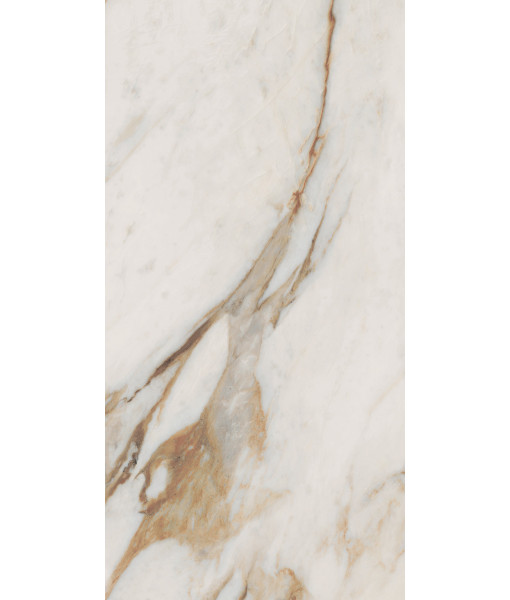 Керамогранит SNS.SIGN.CAL. VENA ORO NAT RET 60X120