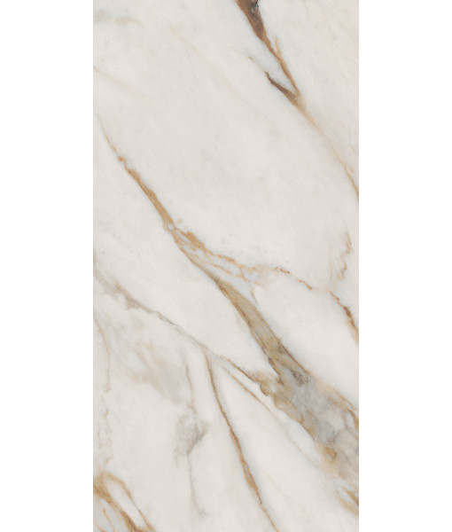 Керамогранит SNS.SIGN.CAL. VENA ORO NAT RET 60X120