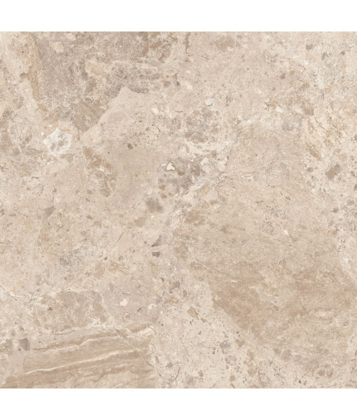 Керамический гранит  ERA BLOOM. TAUPE LAP R120X120