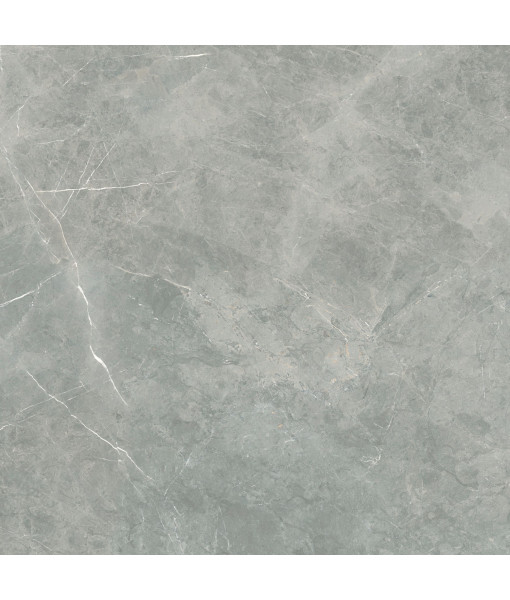Керамогранит SUPREME EVO GREY AMANI RET 120X120