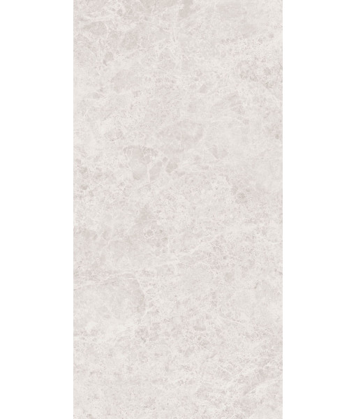 Керамогранит ERA DELIC. IVORY NAT R60X120