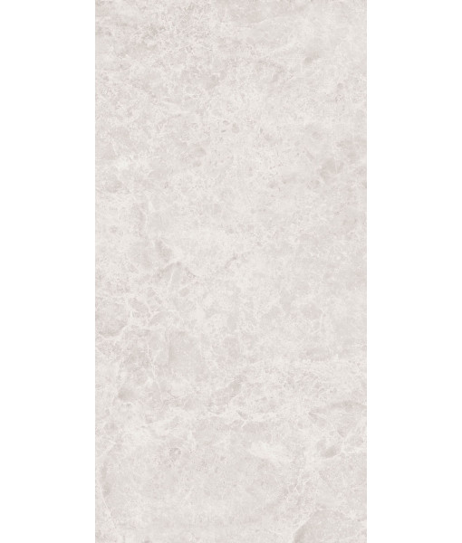 Керамогранит ERA DELIC. IVORY NAT R60X120