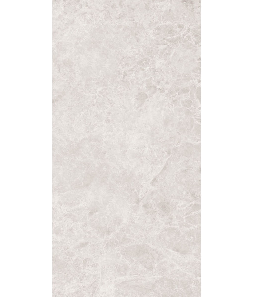 Керамогранит ERA DELIC. IVORY NAT R60X120