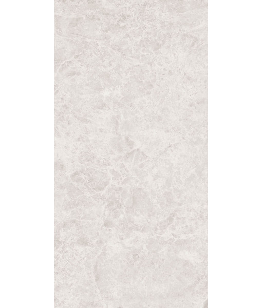 Керамогранит ERA DELIC. IVORY NAT R60X120
