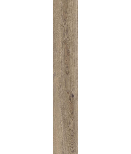 Керамогранит POETRY WOOD  OAK NAT RETT 20x120