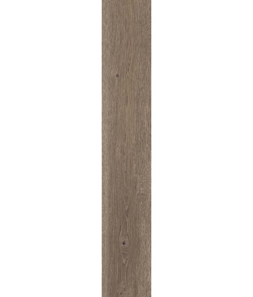 Керамогранит POETRY WOOD  OAK NAT RETT 20x120