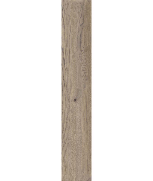 Керамогранит POETRY WOOD  OAK NAT RETT 20x120