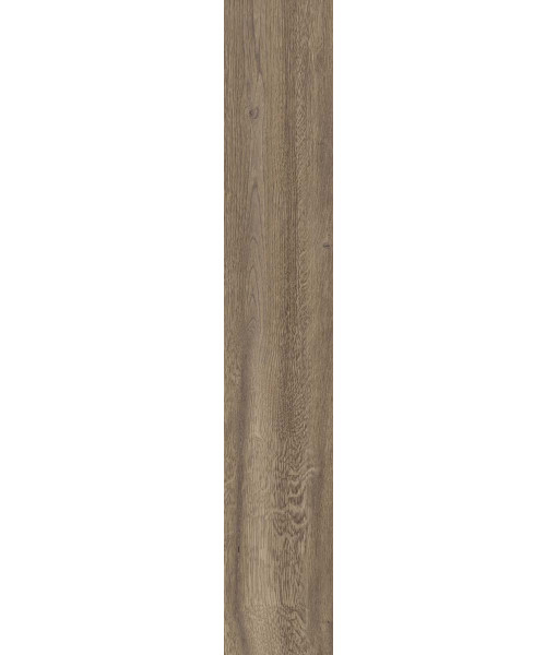 Керамогранит POETRY WOOD  OAK NAT RETT 20x120
