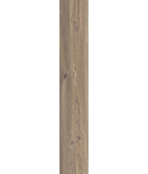 Керамогранит POETRY WOOD  OAK NAT RETT 20x120