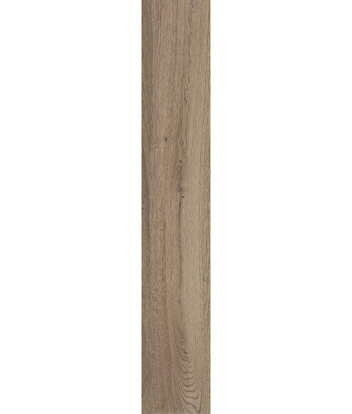 Керамогранит POETRY WOOD  OAK NAT RETT 20x120