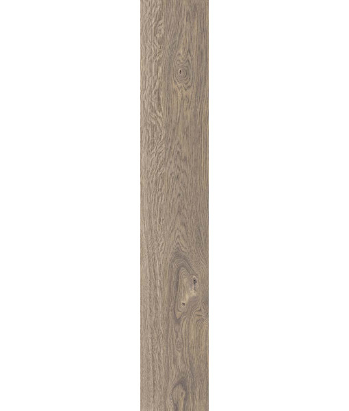 Керамогранит POETRY WOOD  OAK NAT RETT 20x120