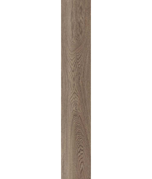 Керамогранит POETRY WOOD  OAK NAT RETT 20x120