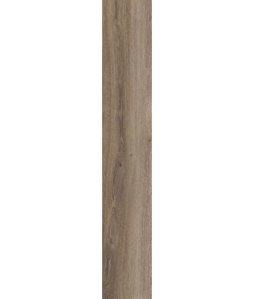 Керамогранит POETRY WOOD  OAK NAT RETT 20x120