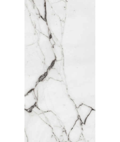 Керамогранит LES ORIGINES DE REX  ARGENT GLOSSY 60X120