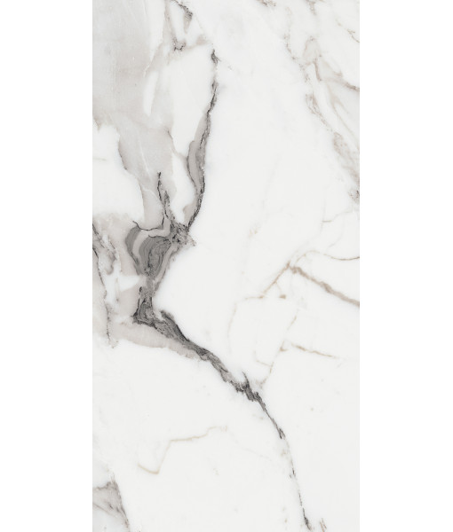 Керамогранит LES ORIGINES DE REX  ARGENT GLOSSY 60X120