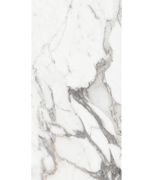 Керамогранит LES ORIGINES DE REX  ARGENT GLOSSY 60X120