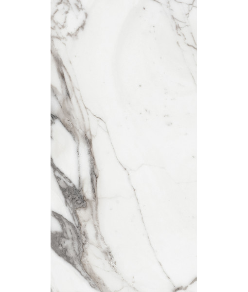 Керамогранит LES ORIGINES DE REX  ARGENT GLOSSY 60X120