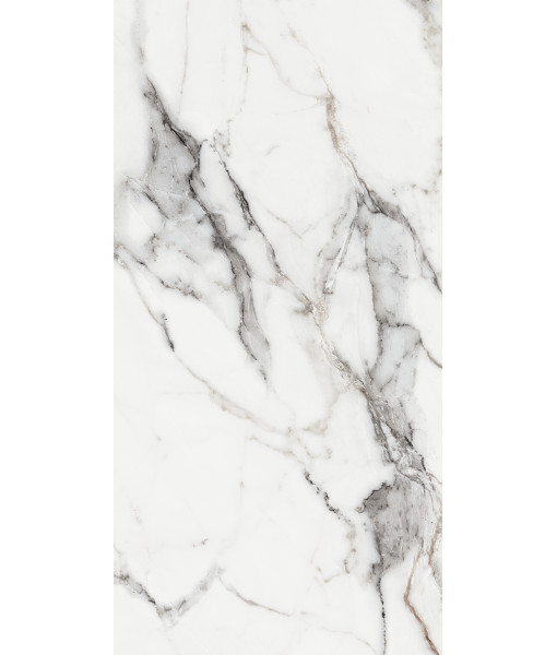 Керамогранит LES ORIGINES DE REX  ARGENT GLOSSY 60X120