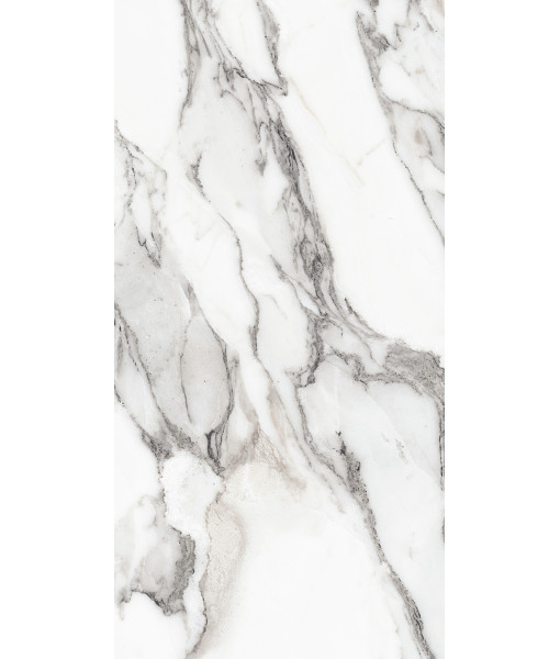 Керамогранит LES ORIGINES DE REX  ARGENT GLOSSY 60X120
