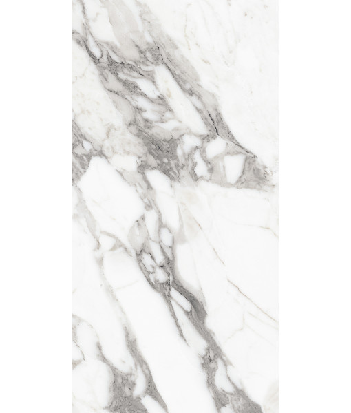 Керамогранит LES ORIGINES DE REX  ARGENT GLOSSY 60X120