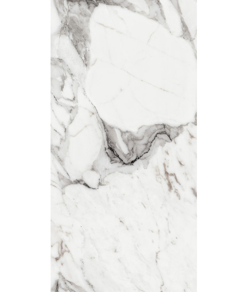 Керамогранит LES ORIGINES DE REX  ARGENT GLOSSY 60X120