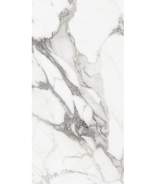 Керамогранит LES ORIGINES DE REX  ARGENT GLOSSY 60X120