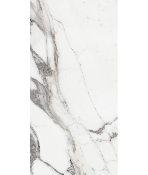 Керамогранит LES ORIGINES DE REX  ARGENT GLOSSY 60X120