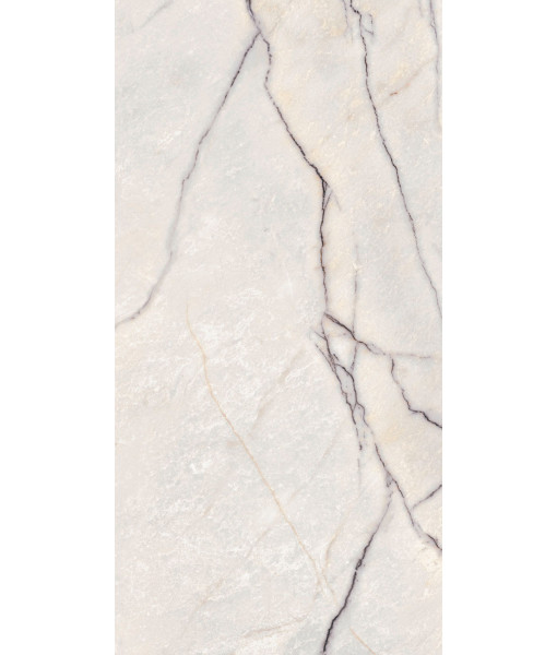 Керамогранит SPR.TREAS.GREYLAC PLAT NAT R 60X120