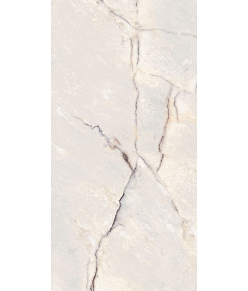 Керамогранит SPR.TREAS.GREYLAC PLAT NAT R 60X120