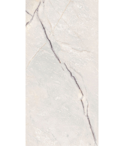 Керамогранит SPR.TREAS.GREYLAC PLAT NAT R 60X120