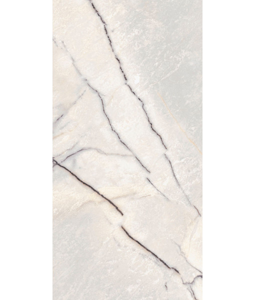 Керамогранит SPR.TREAS.GREYLAC PLAT NAT R 60X120