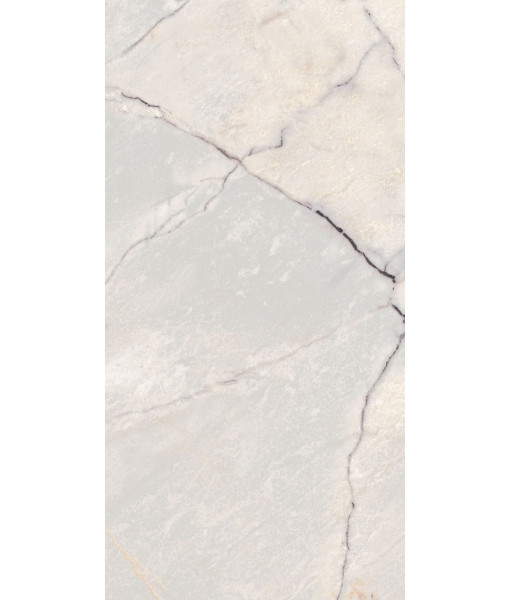 Керамогранит SPR.TREAS.GREYLAC PLAT NAT R 60X120