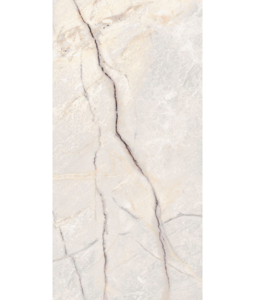 Керамогранит SPR.TREAS.GREYLAC PLAT NAT R 60X120