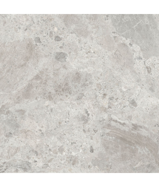 Керамический гранит  ERA BLOOM. ASH LAP R120X120