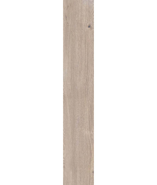 Керамогранит 4 SEASONS  INDUS.BISC.   NAT R20X120